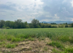 GAZ_168970_20250503_101309_8576